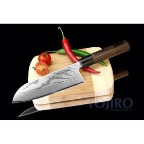 Купить Поварской японский нож Сантоку Tojiro Shippu FD-597 165 мм недорого, с доставкой по РФ