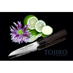 Купить Нож для чистки овощей Tojiro Shippu FD-591 90 мм недорого, с доставкой по РФ